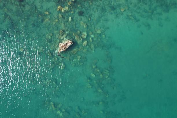 istock Snorkeler in water from drone 1318421751
