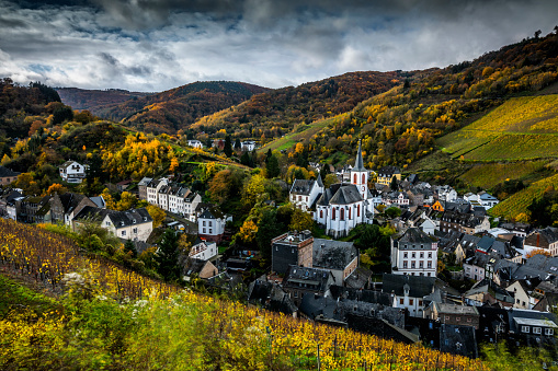 Idyllic town Trabe Trabach in Rhineland-Palatinate, Germany. The village is surrounded by colourful forests and vineyards at autumn time.