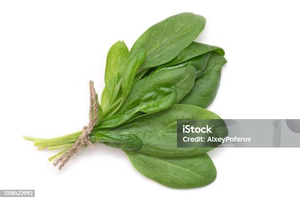Bunch Of Young Fresh Green Spinach With Rope Isolated On White Top View Stock Photo - Download Image Now