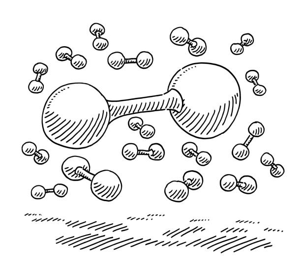 illustrazioni stock, clip art, cartoni animati e icone di tendenza di disegno molecole di idrogeno - hydrogen bonding