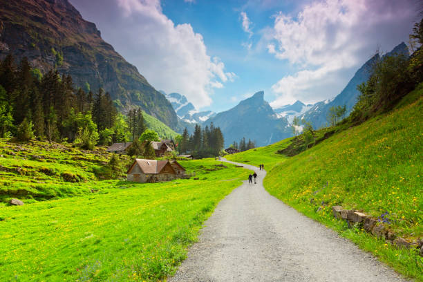 upiększyć krajobraz w szwajcarskich alpach, szwajcaria - interlaken mountain meadow switzerland zdjęcia i obrazy z banku zdjęć