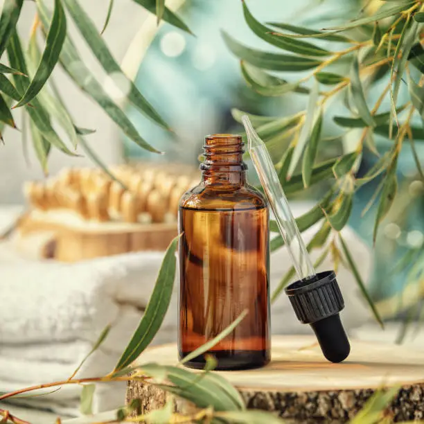 Photo of Amber glass bottle with wooden massage brush, eucalyptus leaves, mirror and towels