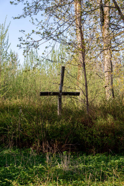 istock A large old scary hooked cross in a deep forest in the bushes on a sunny spring morning. Old overgrown cemetery. Cross silhouette. 1318431135