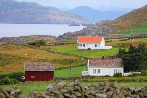 istock Small village in Norway 1318431203