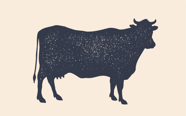 ilustrações de stock, clip art, desenhos animados e ícones de cow silhouette. vintage retro print cow silhouette - talho ilustrações