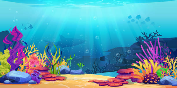 Coral reef underwater world with marine animals silhouettes and algae seaweeds, sea bottom cartoon background. Vector undersea plants, aquarium with seafloor, marine wildlife scenery on depth Coral reef underwater world with marine animals silhouettes and algae seaweeds, sea bottom cartoon background. Vector undersea plants, aquarium with seafloor, marine wildlife scenery on depth fish tank stock illustrations