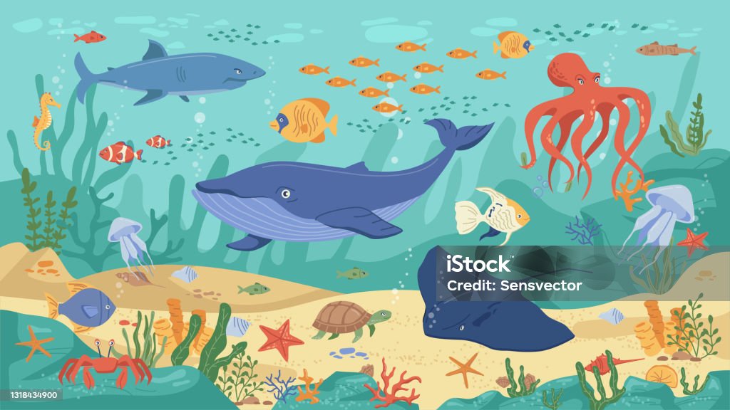Ocean Animals Underwater Life Coral Reefs And Seaweeds Flat Cartoon Background Vector Childish Kids Marine Creatures Algae And Seashells Shark Turtle Squid And Clown Fish Jellyfish And Whale Stock Illustration - Download Ocean Animals Underwater Life Coral Reefs And Seaweeds Flat Cartoon Background Vector Childish Kids Marine Creatures Algae And Seashells Shark Turtle Squid And Clown Fish Jellyfish And Whale Stock Illustration - Download