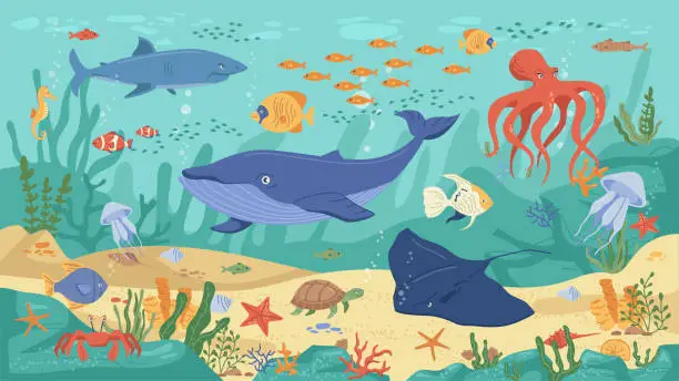 Vector illustration of Ocean animals, underwater life, coral reefs and seaweeds, flat cartoon background Vector childish kids marine creatures. Algae and seashells, shark, turtle, squid and clown fish, jellyfish and whale