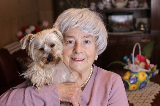 istock Tender senior woman holding Yorkshire terrier 1318435532