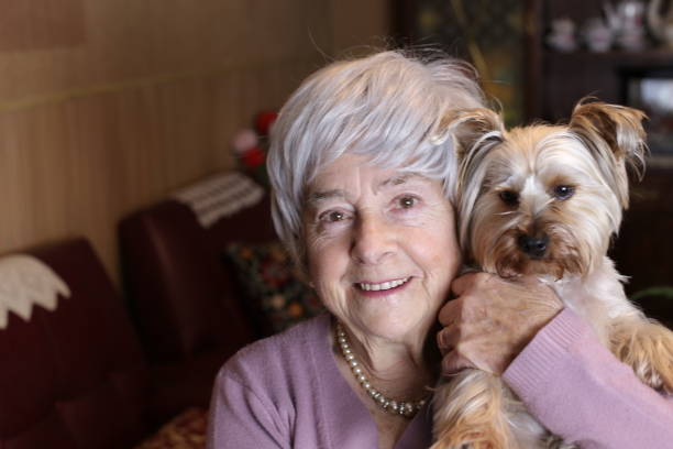 istock Tender senior woman holding Yorkshire terrier 1318435564