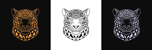 Gold, black and silver jaguar head, set of isolated outline jaguar face. Spotted panther, predatory wildcat Gold, black and silver jaguar head, set of isolated outline jaguar face. Spotted panther, predatory wildcat. Jaguar silhouette, logo and mascot. Vector illustration for graphic design, cover, print jaguar stock illustrations