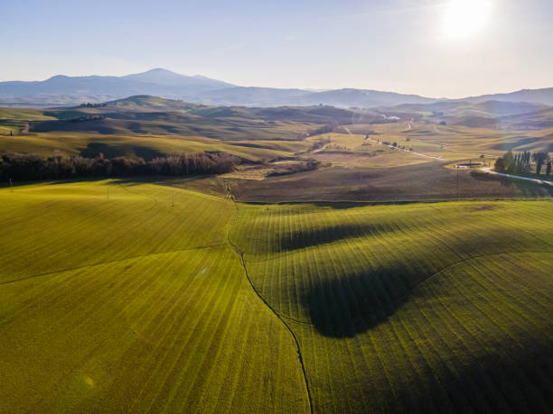istock Countryside landscape at sunset 1318436676