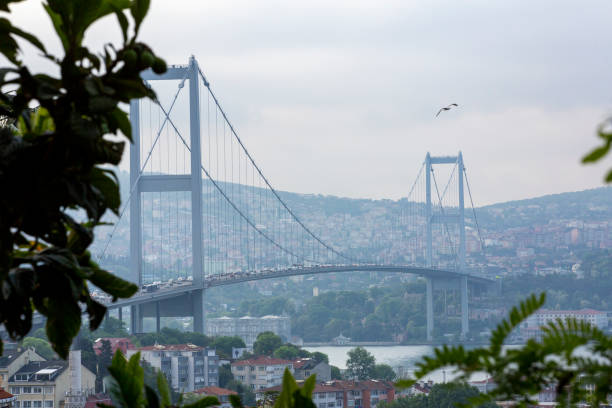 istock The traffic on the Bosphorus at Istanbul 1318437765
