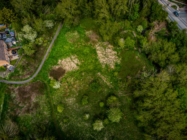 istock Willow Walk Nature Reserve, Wantage, Oxfordshire, UK 1318438139