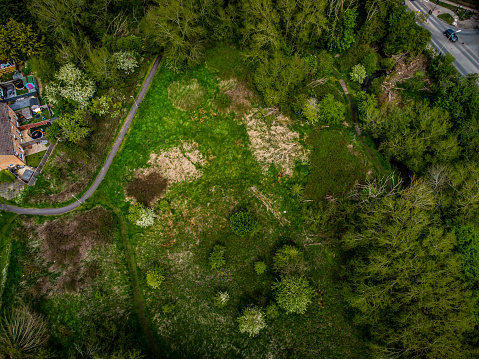 Down view of Willow Walk Nature Reserve from the air.