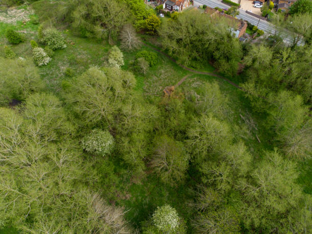 istock Willow Walk Nature Reserve, Wantage, Oxfordshire, UK 1318438185
