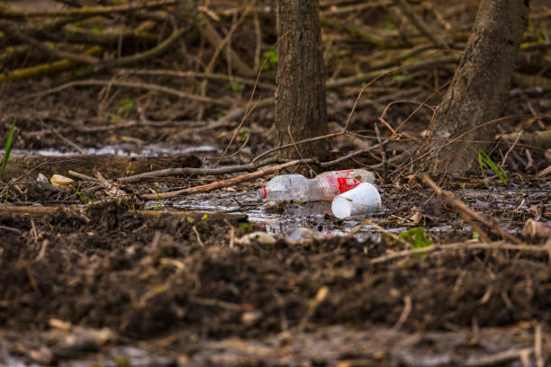 zanieczyszczenie środowiska z plastikowej butelki i plastikowego kubka w naturze niemiec - cup dice leisure games nobody zdjęcia i obrazy z banku zdjęć