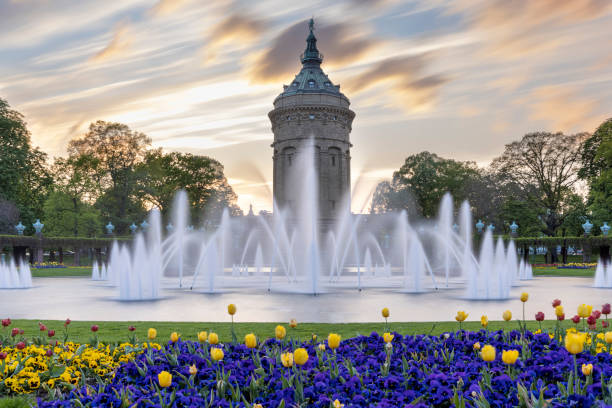 Public park with fountains running in Baden-Württemberg, Germany Formal garden during twilight with no people in frame mannheim photos stock pictures, royalty-free photos & images