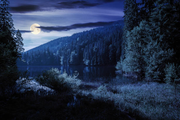 istock landscape with mountain lake at night 1318441768