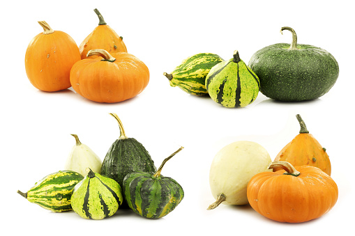 colorful decorative pumpkins on a white background