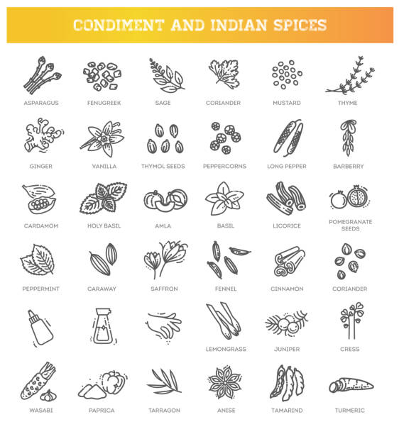 illustrations, cliparts, dessins animés et icônes de ensemble d’icônes condiment. ensemble de contour des icônes vectorielles de condiment - oregano