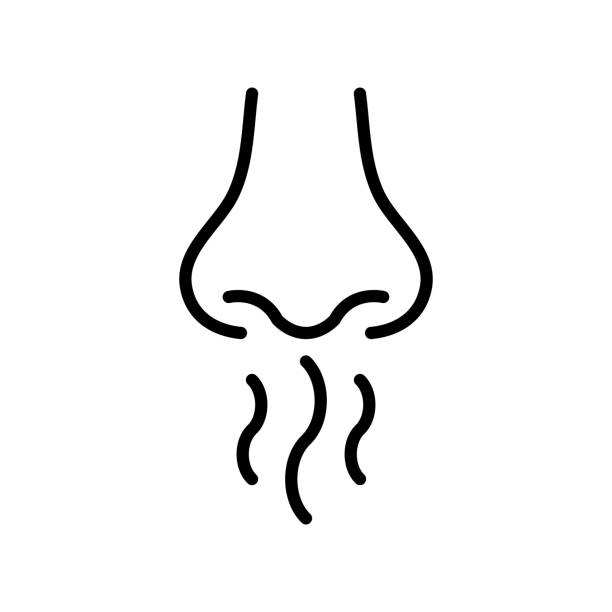 ikon hidung dan indera penciuman - berbau ilustrasi stok