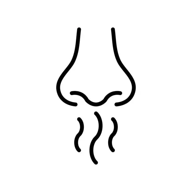 Vector illustration of Nose and smell sense icon