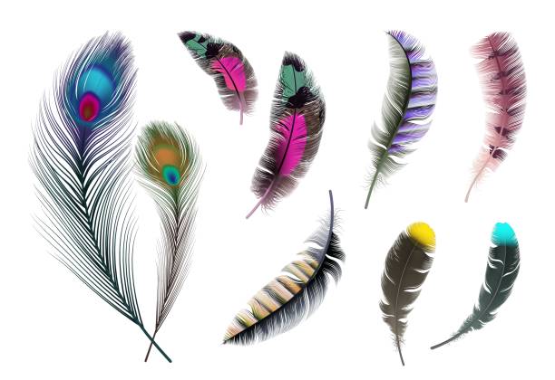 Bright feathers. Neon color decorative feather, peacock accessory. Realistic flying elements isolated vector set Bright feathers. Neon color decorative feather, peacock accessory. Realistic flying elements isolated vector set. Illustration bird rainbow multicolored, tribal wing peacock feather stock illustrations