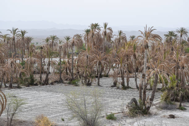 20+ Kalat Pakistan Stock Photos, Pictures & RoyaltyFree Images iStock