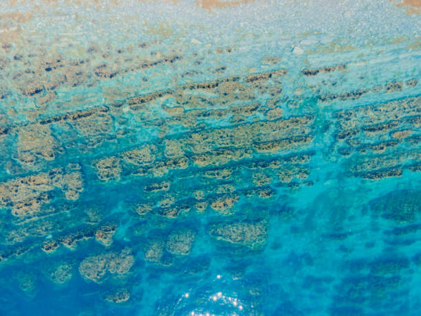 istock Aerial view of sea surface with coastline 1318451636