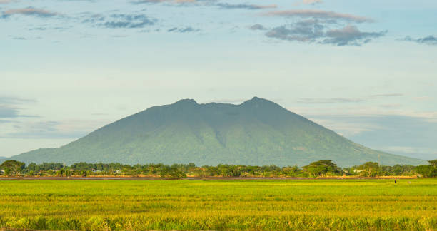 istock a view of Mount Arayat and it's vast rice field 1318451927