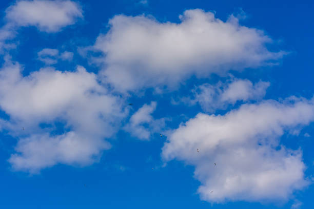 istock Blue and white sky with clouds as background 1318453282