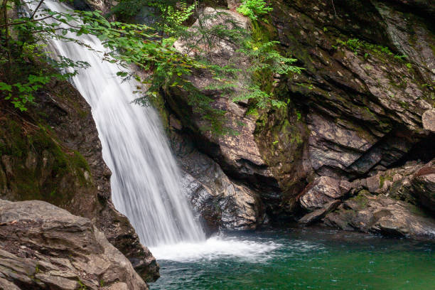 istock Isolated waterfall in rocky pool with green foliage in foreground 1318454211