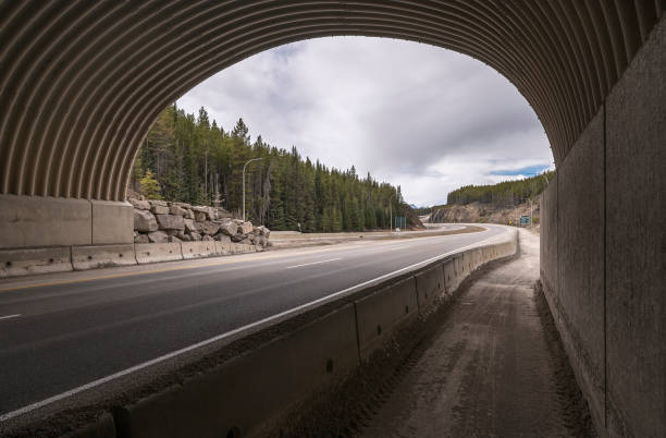 istock Highway Underpass at Lake Louise 1318454524