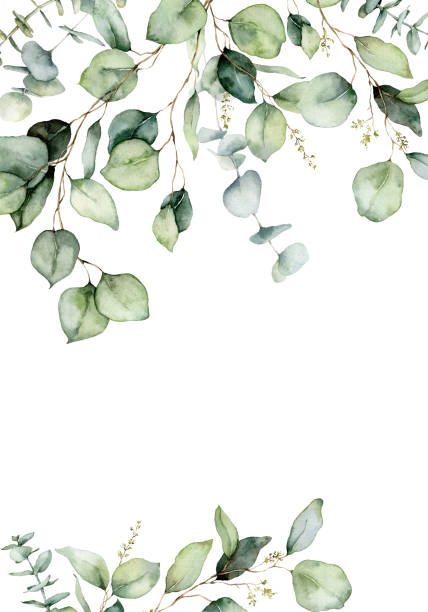 istock Watercolor vertical border of eucalyptus branches, seeds and leaves. Hand painted card of plants isolated on white background. Floral illustration for design, print, fabric or background. 1318455783