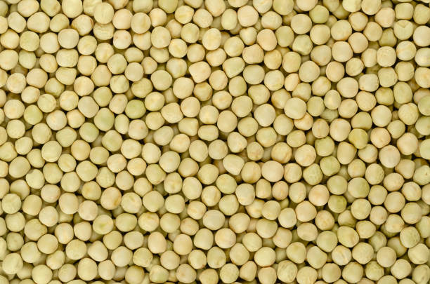 Dried whole peas, background, from above. Raw small spherical seeds of the pod fruit Pisum sativum with greenish and yellowish color, mostly used for soups. Backdrop. Close-up, macro food photo.