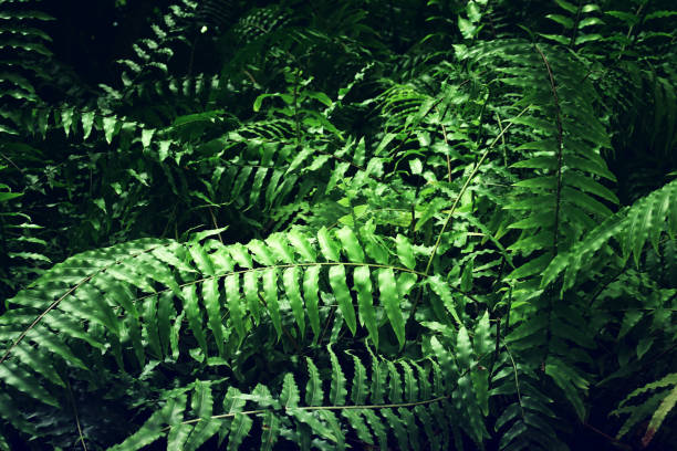 istock green tropical leaves background. summer and nature concept. 1318456171
