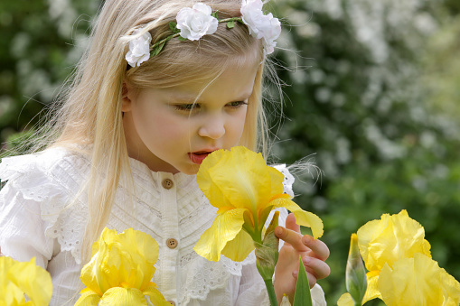 Portrait of cute toddler girl smelling flowers on a sunny summer day in park.