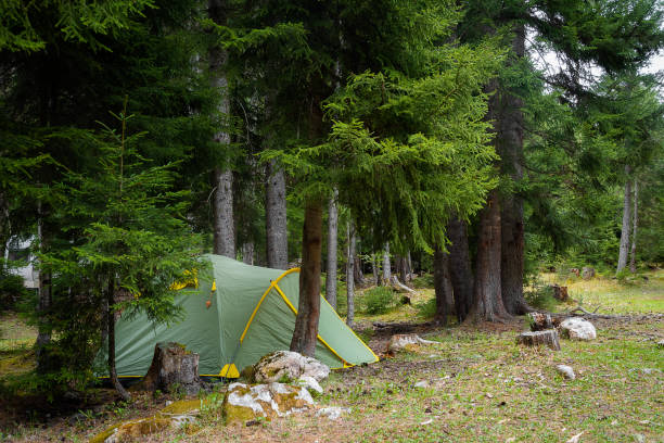 istock green tourist tent stands under a tree in a coniferous forest 1318457428