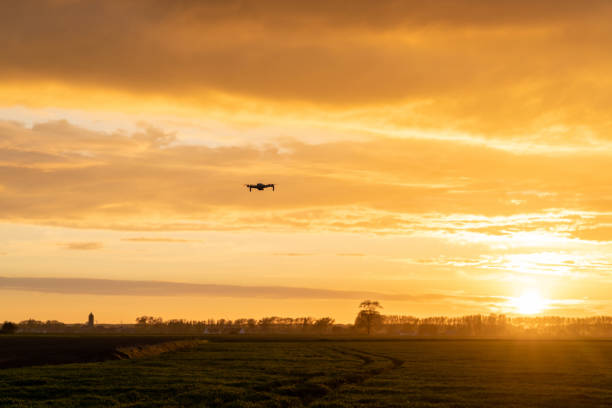 istock drone flying over green springtime meadows with a colorful orange sunset sky behind 1318459037
