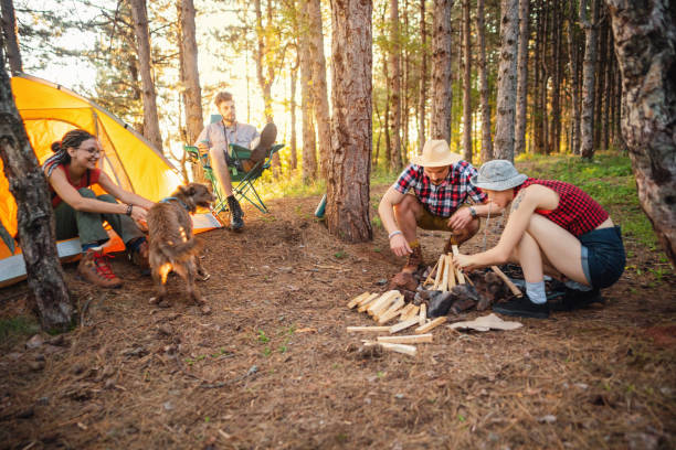 istock Couple preparing wood for campfire at camping 1318461391