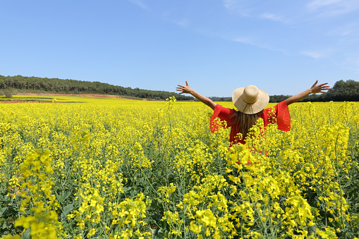 Happy woman celebrating stretching arms in a field