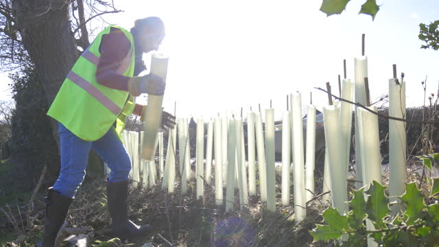 Handaufnahme einer kaukasischen, reifen Frau, die ihrer Gemeinde hilft, indem sie sich freiwillig meldet, um am Arbor Day Bäume zu pflanzen.