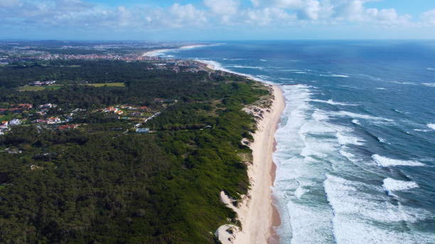 istock Portuguese Beach - Aerial Drone view 1318470149