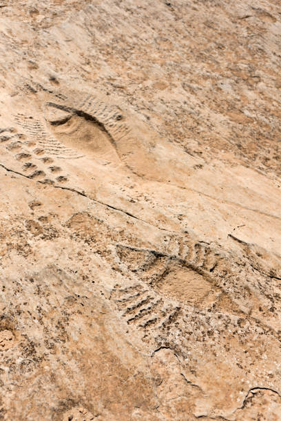istock Al Jassasiya Rock Carvings, Qatar. 1318472099