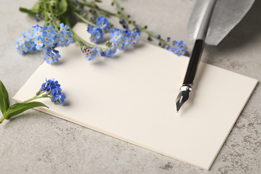 Beautiful Forget-me-not flowers, blank paper and feather pen on grey table