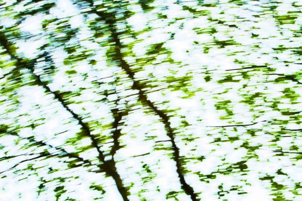 Abstract Green Pantone Colors in Nature