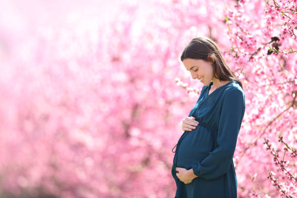 pregnant woman looking at belly in a pink field - nature human pregnancy color image photography imagens e fotografias de stock