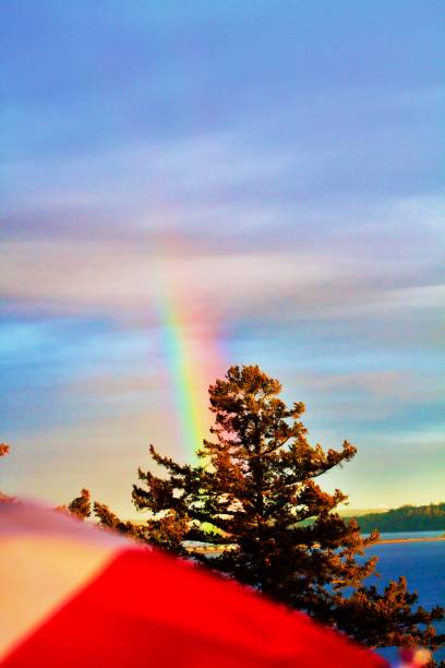 istock Rainbow with Canadian Flag wallpaper background 1318479270