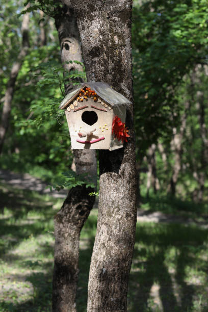 istock Birdhouse on tree at springtime. Branch of fruit tree with bird house. 1318479455